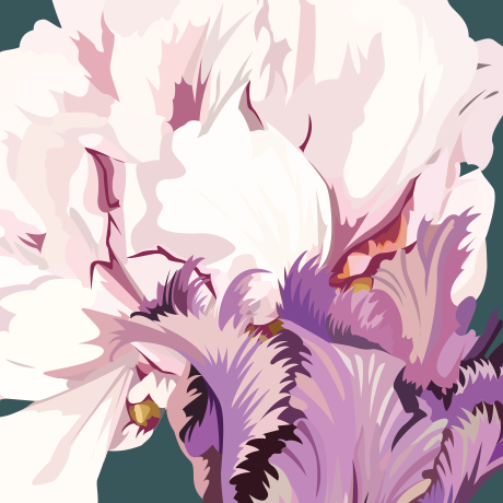 Flower Digital Illustration